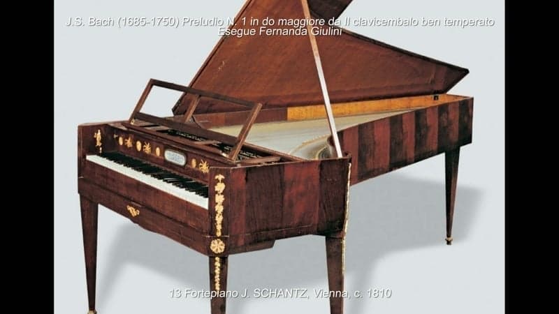 Fortepiano a coda Johann Schantz, Vienna, ca. (N. 13 della collezione) Pianoforte a coda Steinway &amp; Sons Modello B, Amburgo, 1990 (N. 38 della collezione)