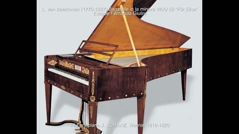 Fortepiano a coda Johann Schantz, Vienna, 1810-20 (N. 14 della collezione) Pianoforte a mezza coda Steinway & Sons A-188, Amburgo, 1983 (N. 82 della collezione)