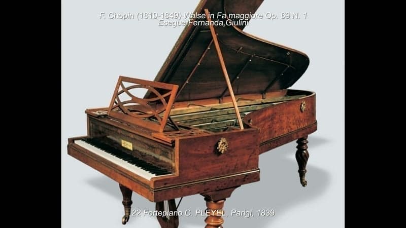 Fortepiano a coda Ignace Pleyel, Parigi, 1839 (N. 22 della collezione) Pianoforte a mezza coda Steinway & Sons A-188, Amburgo, 1983 (N. 82 della collezione)