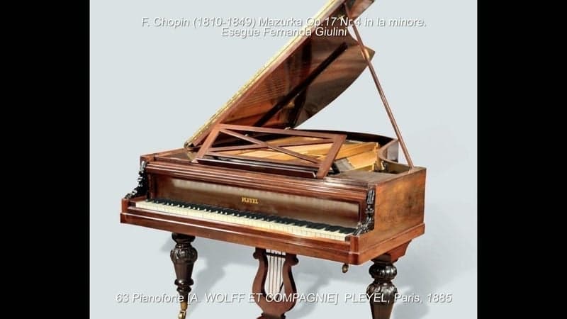 Pianoforte a coda Pleyel Wolff et Compagnie, Parigi, 1885 (N. 63 della collezione) Pianoforte a mezza coda Steinway & Sons A-188, Amburgo, 1983 (N. 82 della collezione)