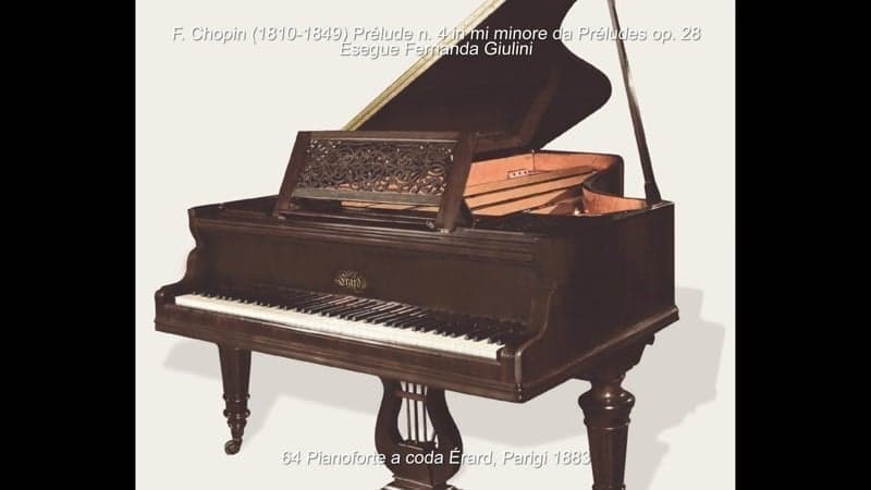 Pianoforte a coda Érard, Parigi, 1883 (N. 64 della collezione) Pianoforte a coda Steinway &amp; Sons Modello B, Amburgo, 1990 (N. 38 della collezione)