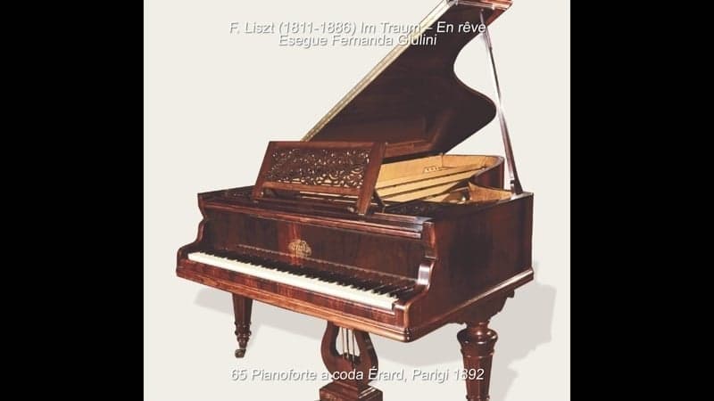 Pianoforte a coda Erard, Parigi, 1892