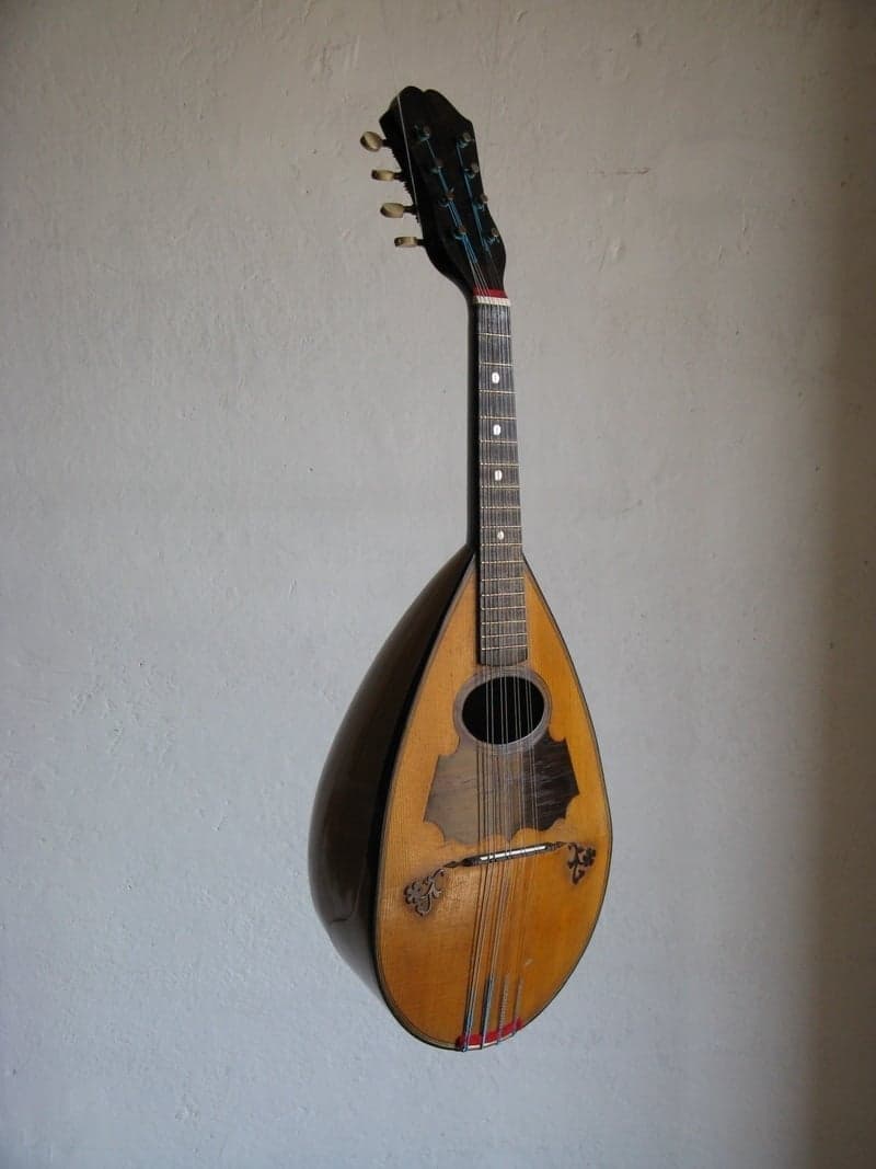 Mandolino Nicola e Raffaele Calace, Napoli,1892, con scatola