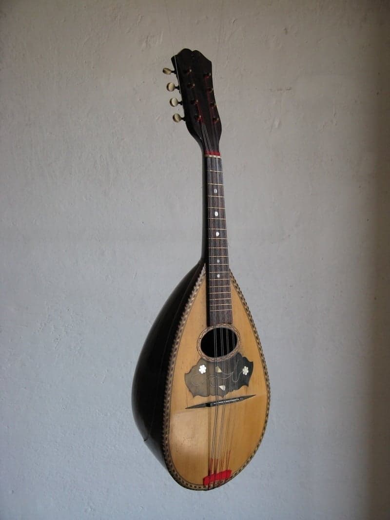 Mandolino napoletano anonimo, fine del XIX secolo – inizio del XX