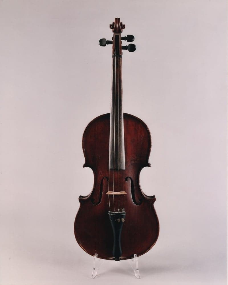 Violino Stefano Caponnetto, Catania, primo quarto del secolo XX