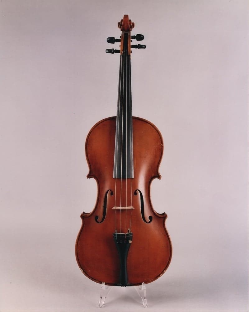 Viola Wenzl Fuchs, 1960